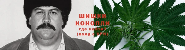 PSILOCYBIN Балахна