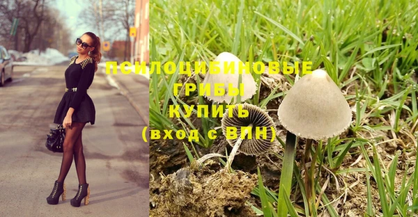 шишки Алексин