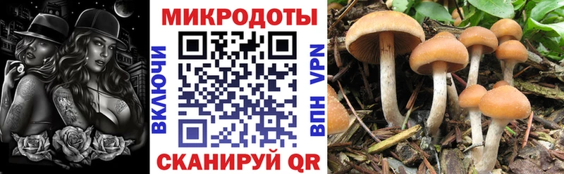 Псилоцибиновые грибы Magic Shrooms  гидра зеркало  Лихославль 